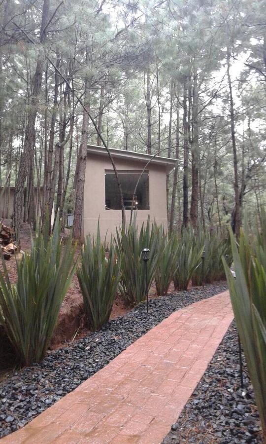 Rincon De Maria Mazamitla Villa Kültér fotó
