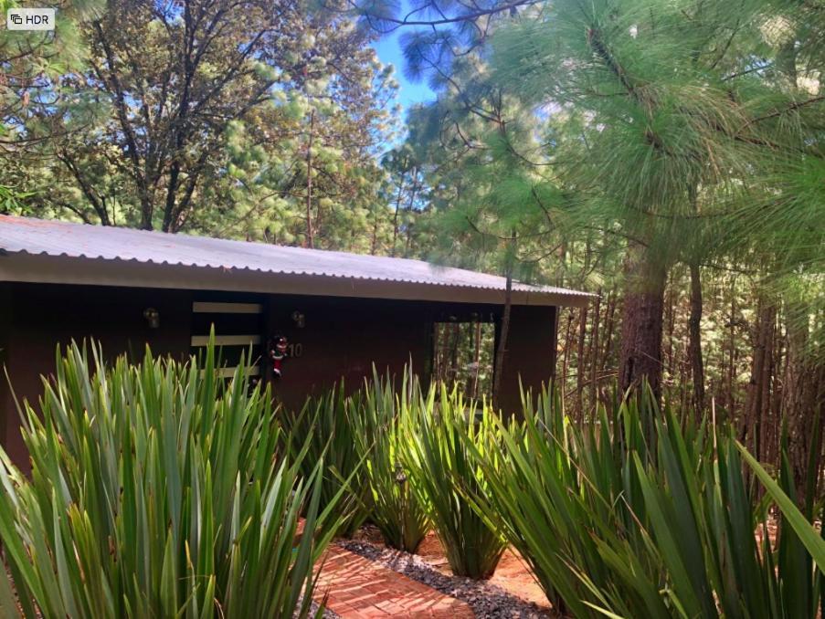 Rincon De Maria Mazamitla Villa Kültér fotó